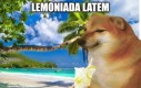 Lemoniady czas