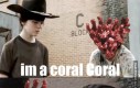 Koral Coral