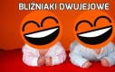 Bliźniaki dwujejowe