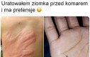 Niewdzięcznik