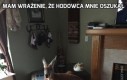 Mam wrażenie, że hodowca mnie oszukał