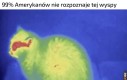 A to takie banalne