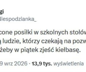 Fakty