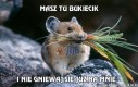 Masz tu bukiecik
