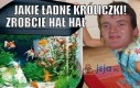 Jakie ładne króliczki!