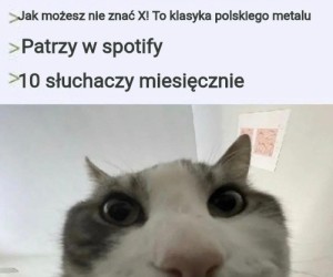 Nie, Behemoth nie jest klasyką polskiego metalu