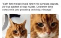 Pomówienia i kalumnie