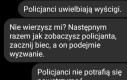 To instynkt