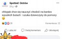 Ale szef