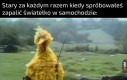 Święta zasada, synek