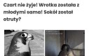 Cała Polska żyje tym tematem
