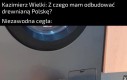 Trzecia świnka