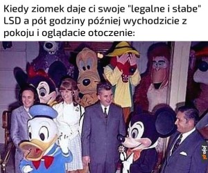 Sytuacja totalnie zmyślona wiadomix