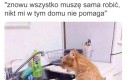 Wam się oczy otworzą jak mnie się zamkną