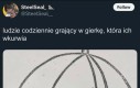 Gracze zrozumieją