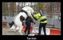 Ten koń