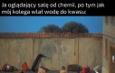 Pamiętaj chemiku młody...