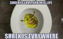 Shrek jest wszędzie