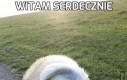 Witam serdecznie