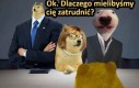 To dobry powód