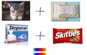 Jak zrobić Nyan Cat'a
