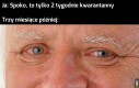 Jednak nie