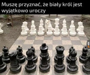 Takiego to aż szkoda zbijać