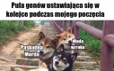 Tak się żyje