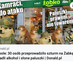 Opole to stan umysłu