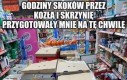 Jestem gotów