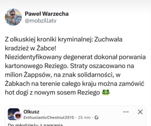 Zuchwały złodziej