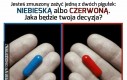 Dzieciństwo, czy ciekawość jutra?