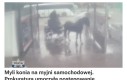 A co, ma brudny chodzić?