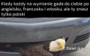 Trzeba próbować się dogadać