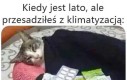 Nie ma to jak przeziębienie w wakacje