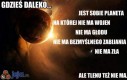 Gdzieś daleko...
