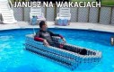 Janusz na wakacjach