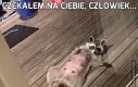 Czekałem na ciebie, człowiek...