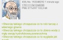 Chrząszcze chrząszcze uwielbiam chrząszcze