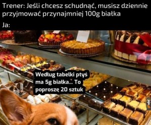 Ptyś