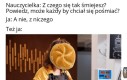 Maj lajfs bi lajk buuuła, buuuła
