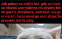 Status kota: ograny