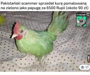 Geniusz