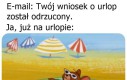 Jaki wniosek?