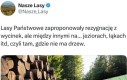 Łeb na karku