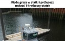Te są najgorsze