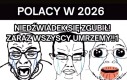 Grzeczny miś