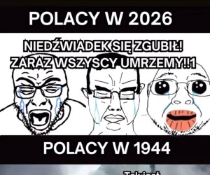 Grzeczny miś