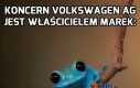 VW to nie wiocha, VW to bogactwo!