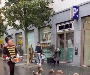 To jest najlepsza rzecz jaką mogłem dzisiaj zobaczyć